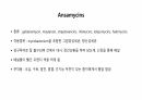 의과대 학생이 작성한 항생제 관련 자료(항생제 분류 및 종류, 일반원칙,병용투여, 주의사항) 38페이지
