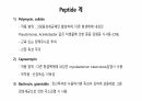 의과대 학생이 작성한 항생제 관련 자료(항생제 분류 및 종류, 일반원칙,병용투여, 주의사항) 39페이지