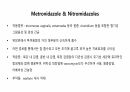 의과대 학생이 작성한 항생제 관련 자료(항생제 분류 및 종류, 일반원칙,병용투여, 주의사항) 40페이지