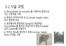 의과대 학생이 작성한 간암화학색전술(TACE) 5페이지
