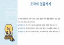 청년기 발달이론 25페이지