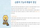 청년기 발달이론 31페이지
