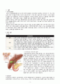 [A+과제][소화기계][케이스스터디][CASESTUDY] 담관암 Cholangiocarcinoma 3페이지