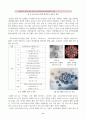 SIR모델 코로나 연구 9페이지