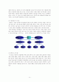 [A+자료] 산업심리학 - 직무동기부여 10페이지