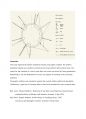[영문에세이] Music Graphic notation 음악기호표기법 유례 4페이지