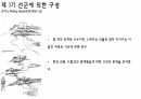 Alvaro Siza(알바로 시자) 현대건축 발표자료 18페이지