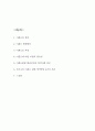 미혼모 연구보고서 (미혼모 특징과 해외정책사례연구 및 우리나라 미혼모 관련 정책방안 4가지 제시 및 느낀점) 2페이지