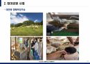 농수산경영회계 미래 농업사회 - 농수산경영회계 - 미래 농업사회 소개, 테마공원 사례, 치유산업 7페이지