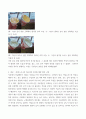 조리과학 전분의 호화와 젤화 원리를 설명하시오 6페이지