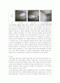 조리과학 전분의 호화와 젤화 원리를 설명하시오 5페이지