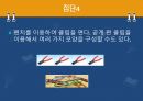 유아사회교육-기계와 도구 10페이지