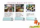 유아교육개론-유아교육 환경의 구성 8페이지