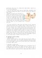 생활속의 응급처치 레포트(최종) 10페이지