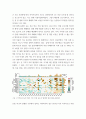 세계의정치와경제 바나나 제국의 몰락 읽고 이러한 식량 문제를 묘사하고 대안에 관한 자기 생각을 서술하시오 4페이지