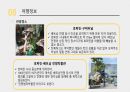 베트남 역사, 문화, 경제, 여행정보 등 32페이지