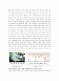 환경보건학개론 국내 직업병 사례 한 가지를 선정하여, 1사건의 경과(사진 포함), 2원인 환경오염 물질 및 피 4페이지