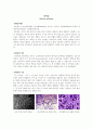 [미생물학] [A+받은과제] 탄저균 Bacillus anthracis 문헌고찰 2페이지