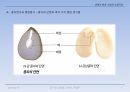 식량과 농업자원 7페이지