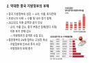 중국 경제의 위기 6페이지