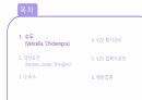 수두대상포진바이러스(VZV) 교육_감염관리 2페이지