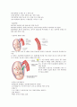 (사진O)인체구조와기능 A+자료 혈액의 기능과 구성, 구성성분, 혈액응고기전, 신생아 용혈성 질환, 질환과 장애 6페이지