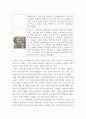 조리원리) 다음은 찹쌀로 인절미를 만드는 실험이다 1전분의 호화 및 노화의 원리를 설명하시오 5페이지