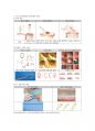 조직 표본 제작 과정 레포트 2페이지