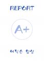 [A+] 나일론 합성 레포트 1페이지