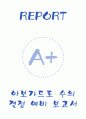 [A+] 아보가드로 수의 결정 예비레포트 1페이지