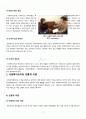 [A+] 사회복지조직의 전통적이론과 현대적이론 레포트 4페이지