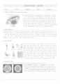 [간호학과/케이스스터디] intracerebral hemorrhage(뇌내출혈) 최종 케이스스터디 (간호진단7개, 간호과정1개) 2페이지