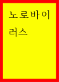 글작성) 노로바이러스 1페이지