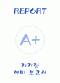 [A+] 자기장 예비 보고서 1페이지