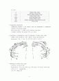 Neuroplasticity(Cortex reorganization) 2페이지