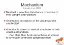 Pusher Syndrome 5페이지
