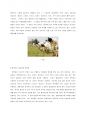 [14/15점]세계사적 보편성과 한국사의 특수성에 해당하는 사례를 각각 5가지 이상 요약- 한국사의 이해 레포트 6페이지