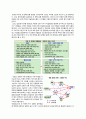 문명의충돌 14페이지