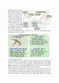 문명의충돌 15페이지