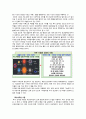 코스모스 26페이지
