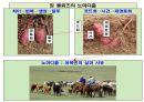 들뢰즈 . PPT 38페이지