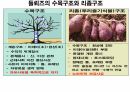 들뢰즈 . PPT 55페이지