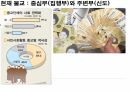들뢰즈 . PPT 77페이지