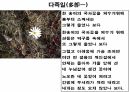 해설사 양성과정 경주 3 - 김유신묘 성덕대왕신종 포석사 석불사 . PPT 58페이지