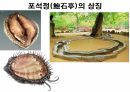 해설사 양성과정 경주 3 - 김유신묘 성덕대왕신종 포석사 석불사 . PPT 90페이지