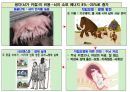 호모사피언스 . PPT 16페이지
