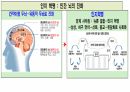 호모사피언스 . PPT 17페이지