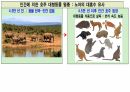 호모사피언스 . PPT 33페이지