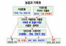 호모사피언스 . PPT 35페이지