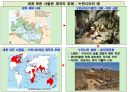 호모사피언스 . PPT 53페이지
